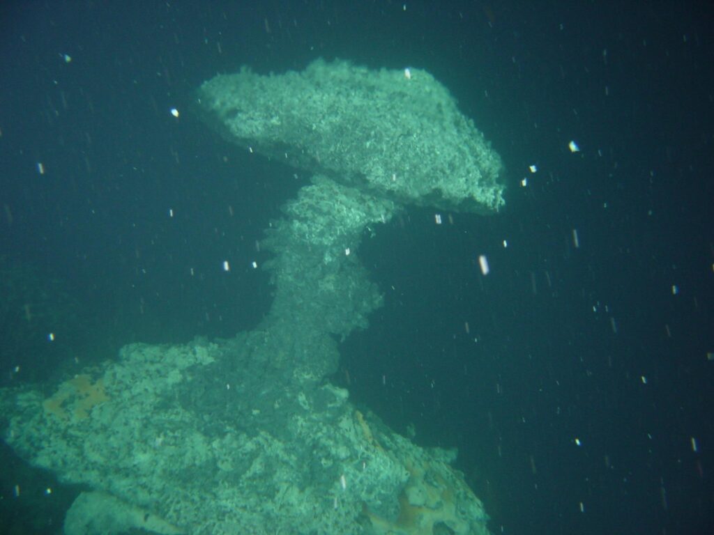 Deep-sea hydrothermal vent chimney with a mushroom-shaped, pale greenish-grey mineral cap and craggy base, illuminated by a submersible's lights against pitch-black water. Dozens of glowing white marine snow particles drift through the water column, appearing as short streaks.