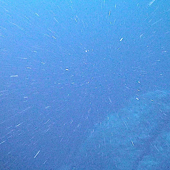 Deep blue underwater scene showing hundreds of bright white marine snow particles drifting through open ocean water, radiating outward from center in streaks resembling a starfield, with no seafloor or marine life visible
