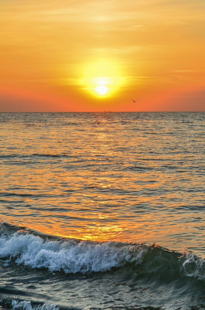 A golden ocean sunset with the sun low on the horizon, casting warm orange light across gentle waves. A single bird flies above the water, silhouetted against the glowing sky as a cresting wave foams in the foreground.